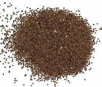  - Kokotica čínska 1000g (Kokotice čínská - Cuscuata Chinensis)